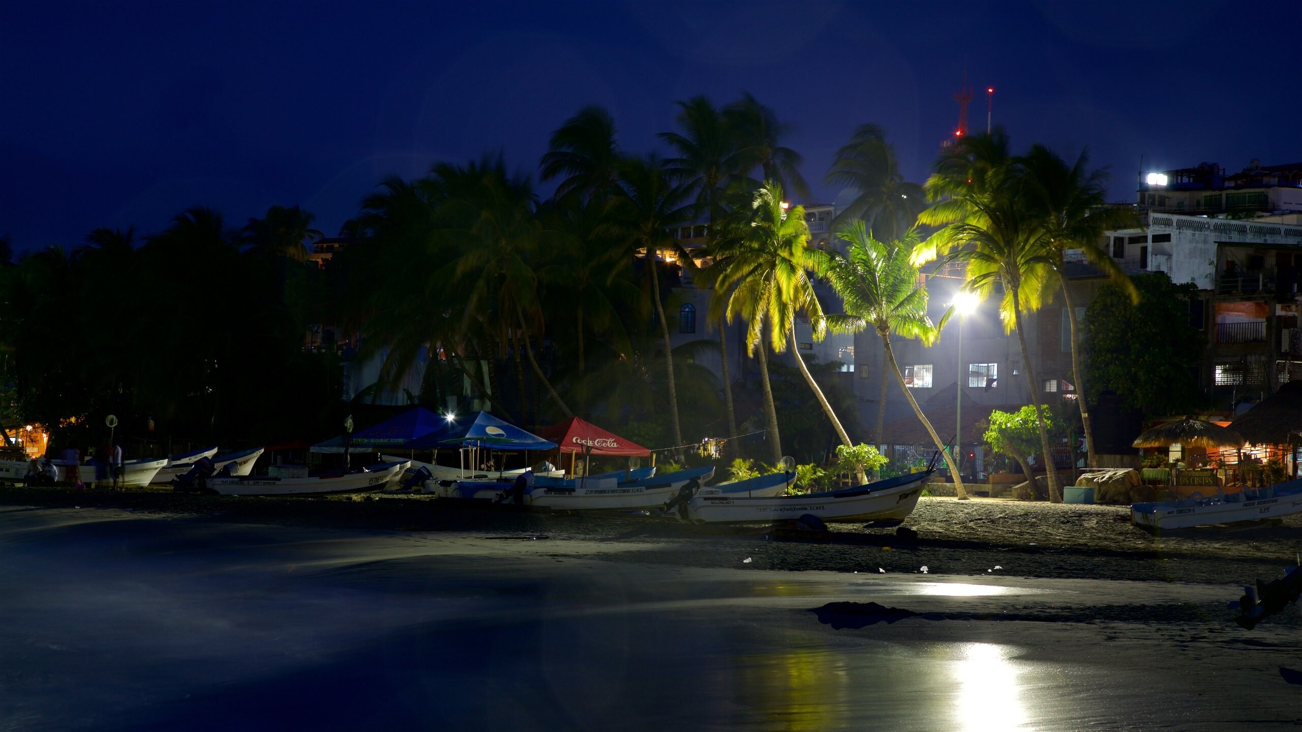 Puerto Escondido featuring night scenes, general coastal views and tropical scenes
