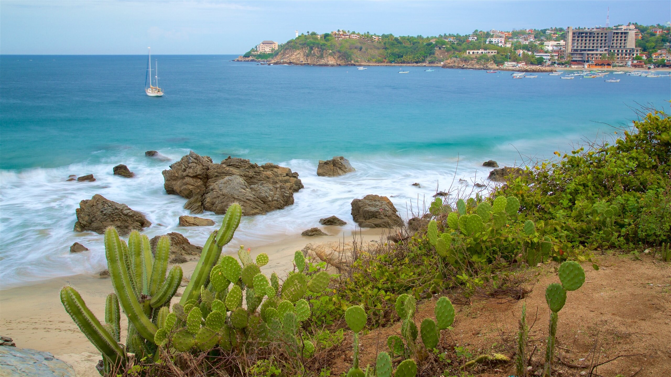 Oaxaca showing a beach and rocky coastline