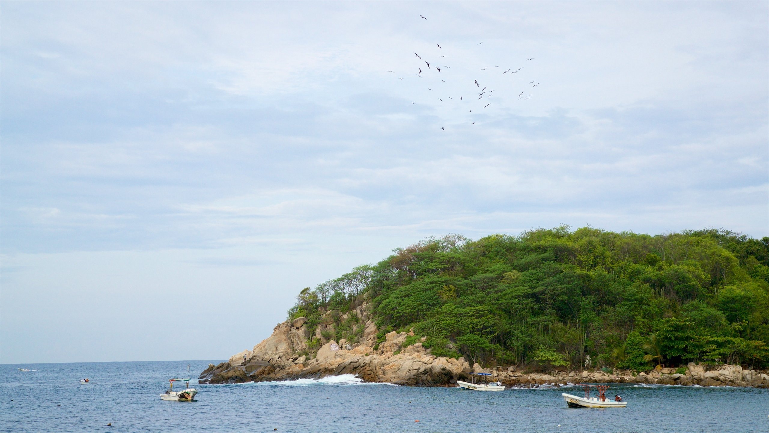 Oaxaca ofreciendo paseos en lancha, costa escarpada y vistas generales de la costa