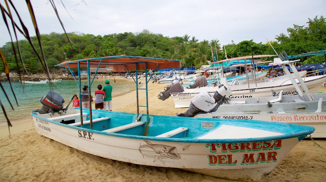 Playa Puerto Angelito welches beinhaltet Sandstrand, Bucht oder Hafen und allgemeine Küstenansicht