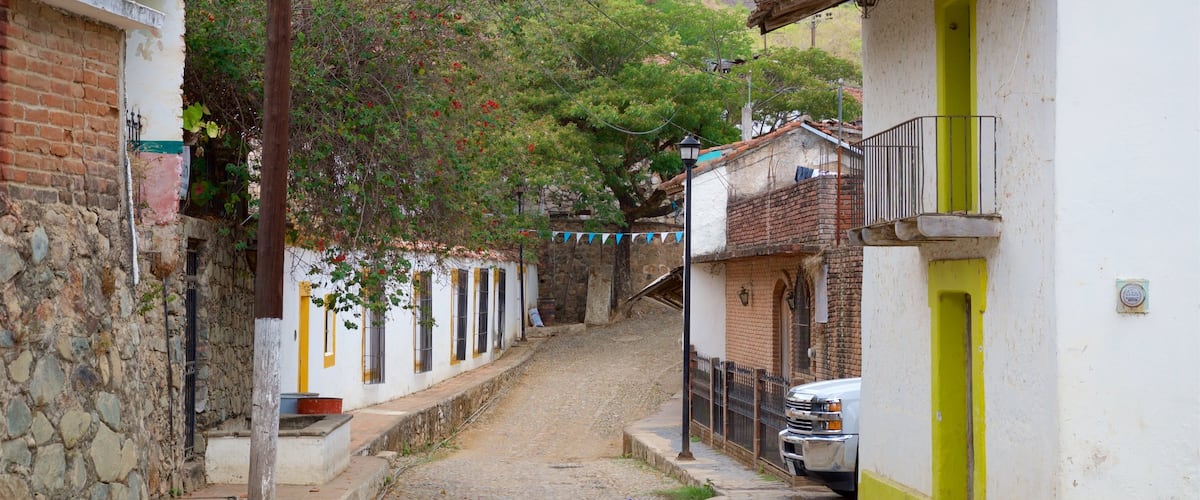 Copala featuring a small town or village