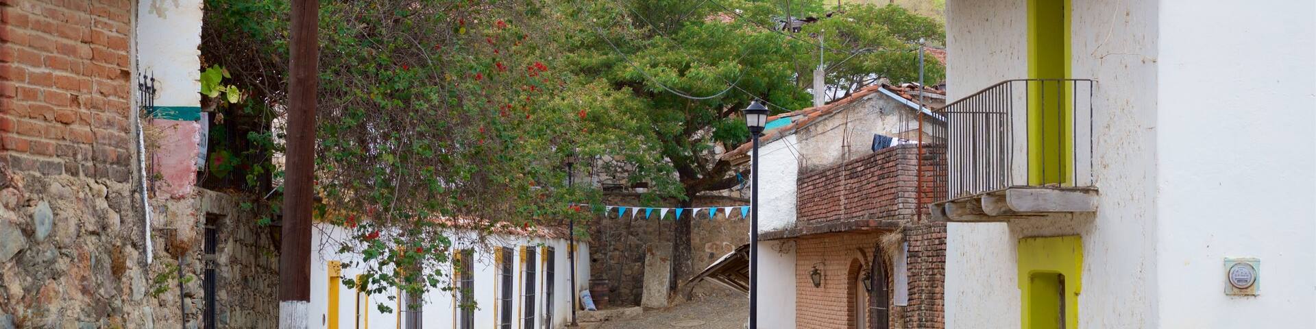 Copala which includes a small town or village