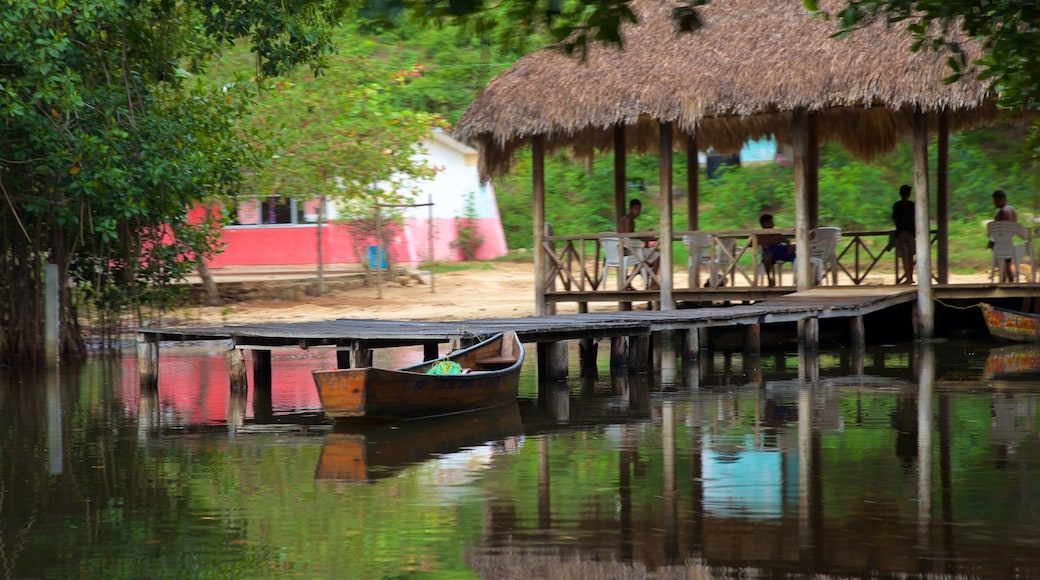 Chacahua Lagoon National Park featuring wetlands and a sandy beach