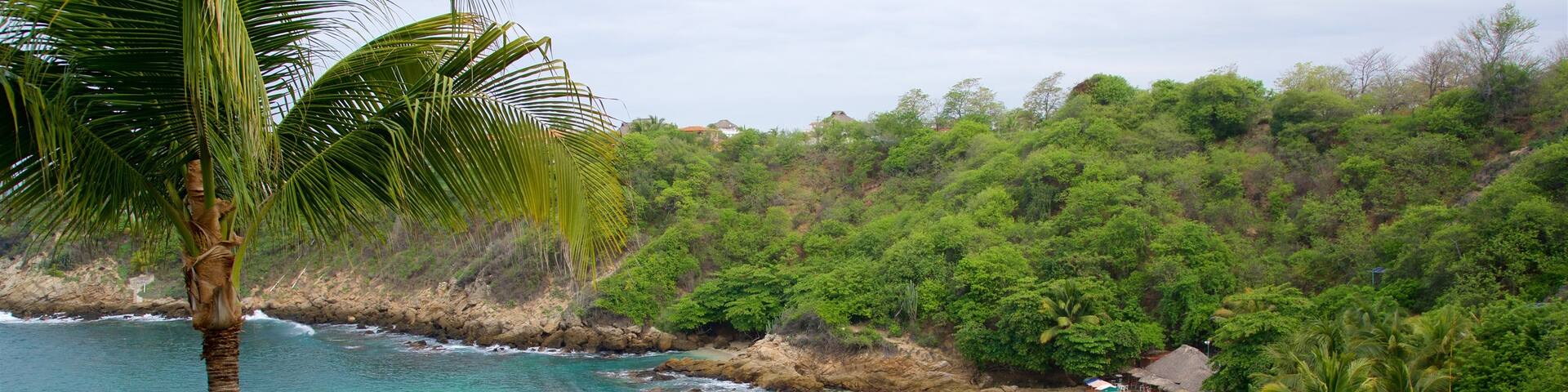 Carrizalillo Beach which includes a sandy beach and general coastal views