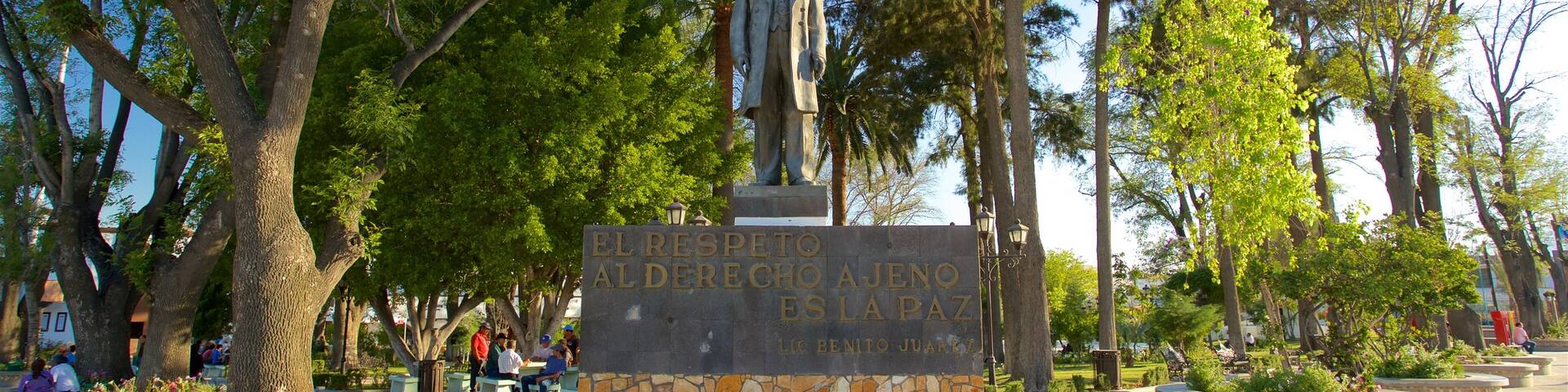 Tecate showing a square or plaza and a statue or sculpture