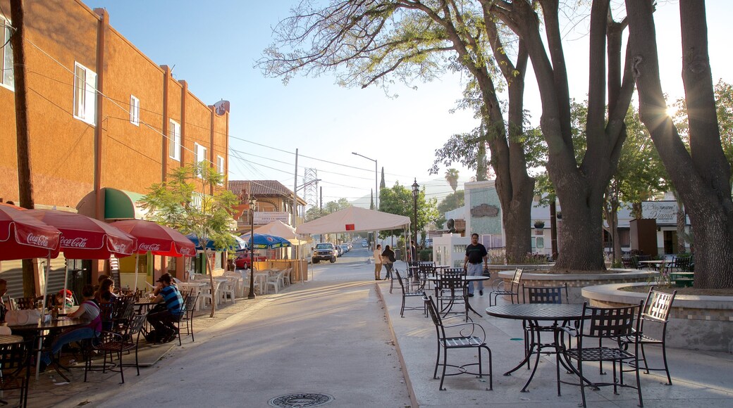 Tecate que incluye una plaza