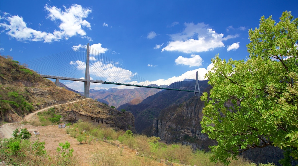 Mazatlan che include gola o canyon e ponte