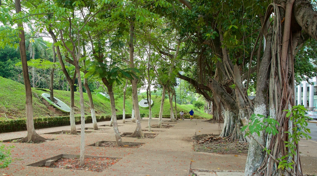 Villahermosa showing a square or plaza