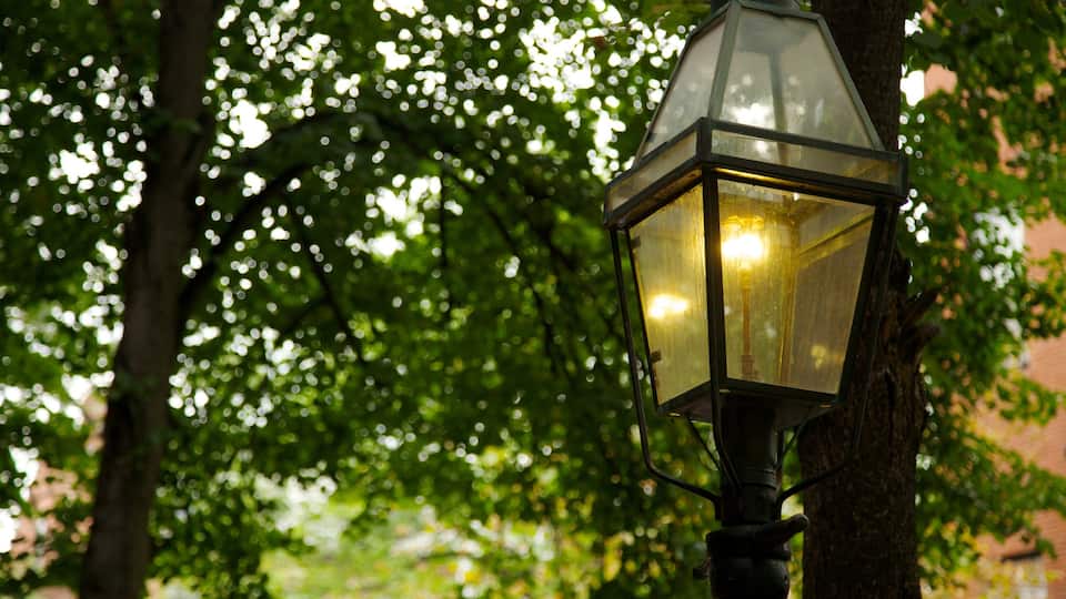Beacon Hill cho thấy phong cảnh