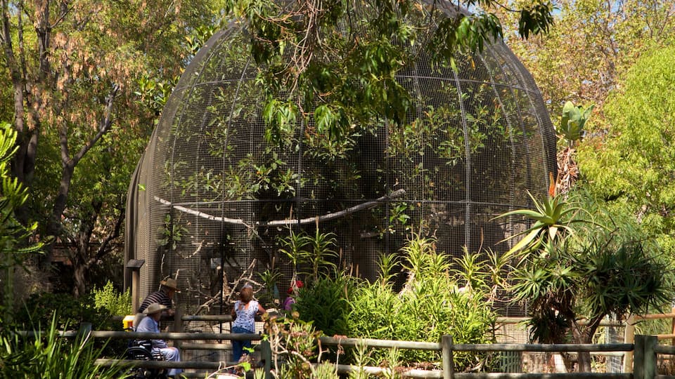 Santa Ana Zoo