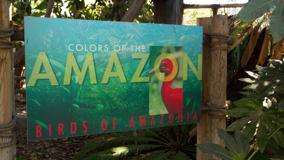 Santa Ana Zoo which includes zoo animals and signage