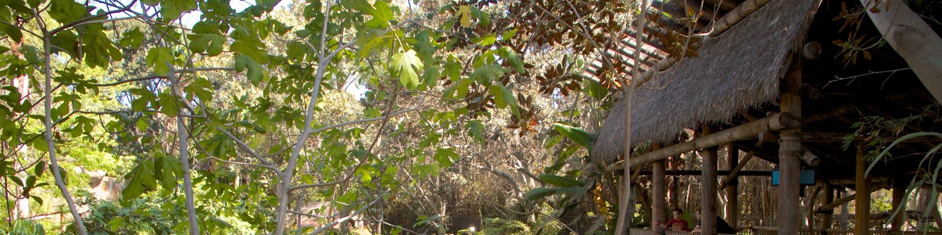 Santa Ana Zoo showing landscape views, a garden and a pond