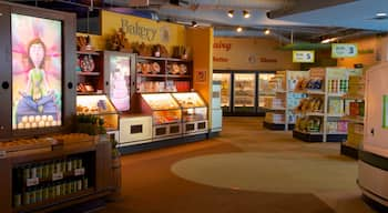 Discovery Science Center showing interior views