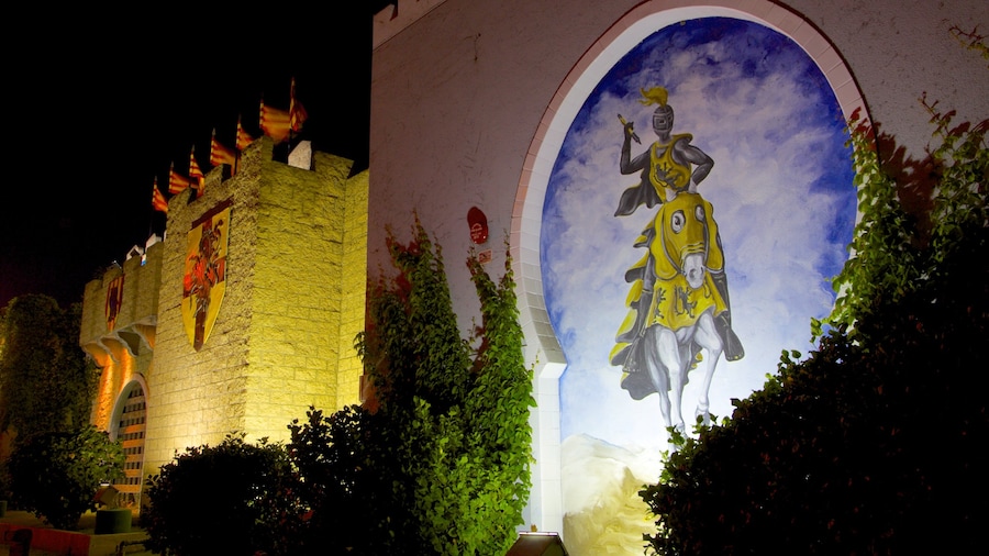 Medieval Times which includes performance art, a park and night scenes