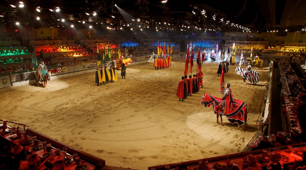 Medieval Times mostrando performance d\'arte, giro a cavallo e vista interna