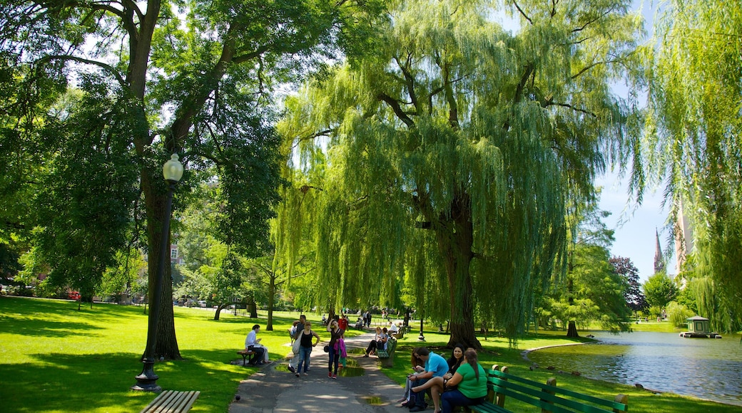 Boston Common có tính năng phong cảnh, công viên và hồ nước