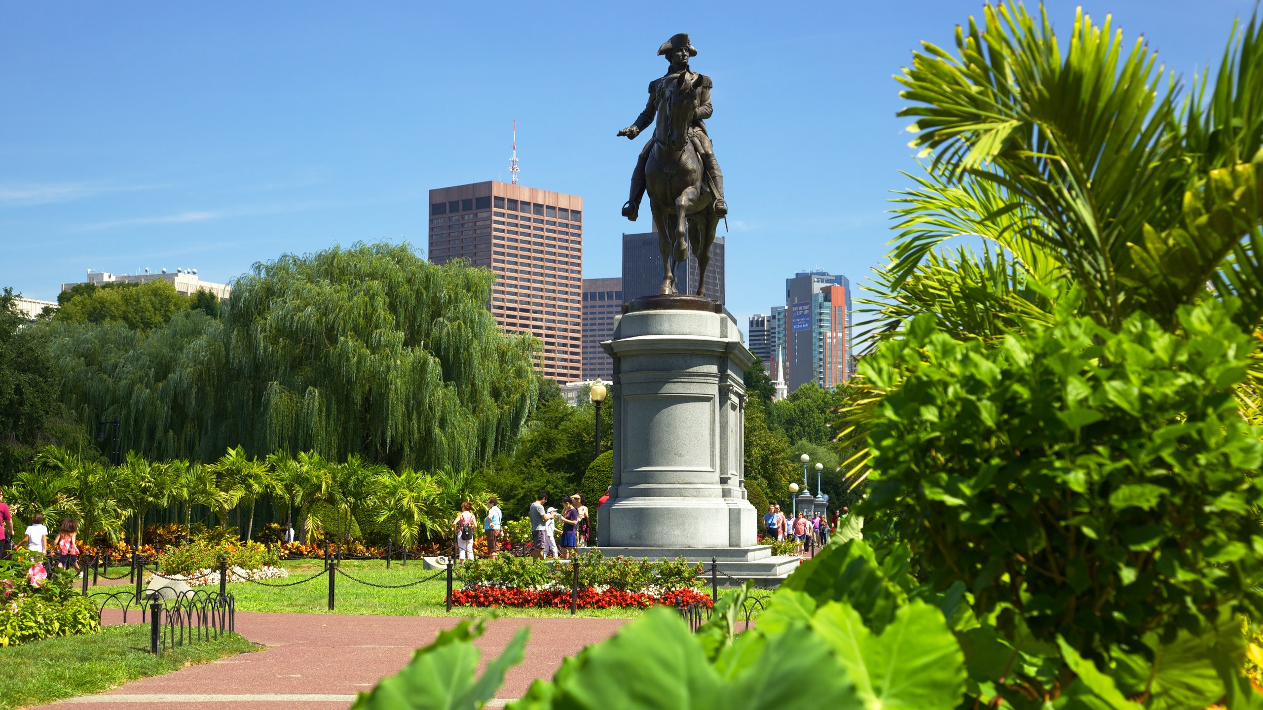 Top Hotels in Boston, MA from $82 (FREE cancellation on select hotels