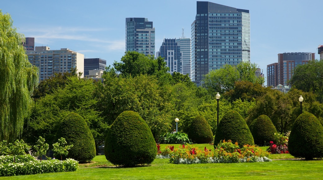 Boston Common featuring landscape views, a skyscraper and flowers