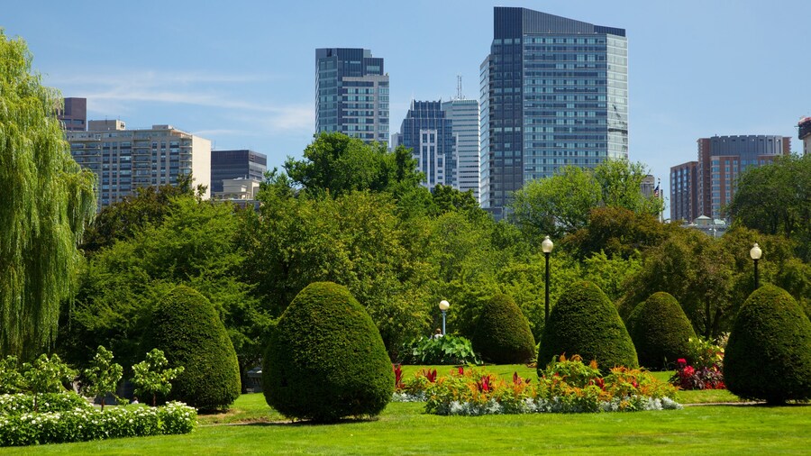 Lush greenery and skyline view at Boston Common, the city's historic park.