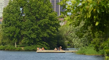 Massachusetts inclusief landschappen, een stad en een meer of poel