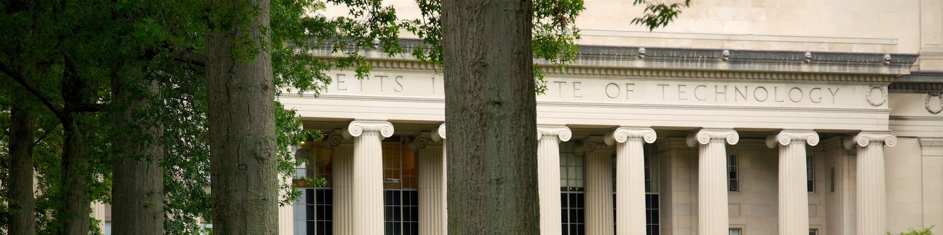 Boston montrant parc