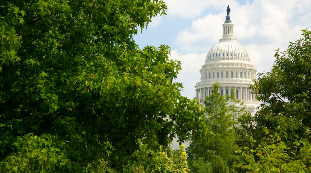 National Mall presenterar en trädgård, historisk arkitektur och en administrativ byggnad