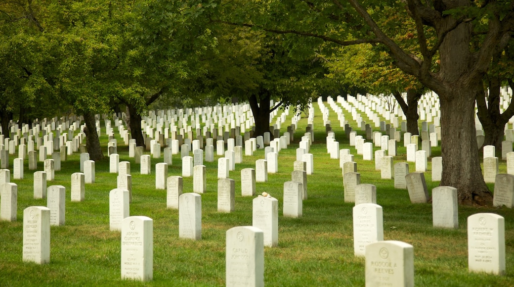 Arlington National Cemetery showing a memorial, a park and landscape views