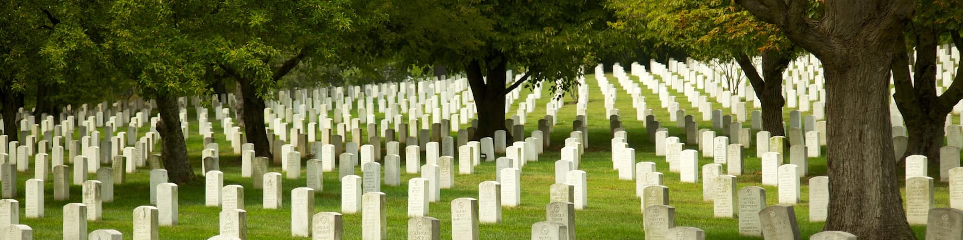Arlington National Cemetery mettant en vedette cimetière, parc et mémorial