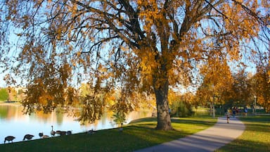 City Park featuring landscape views, autumn leaves and a lake or waterhole