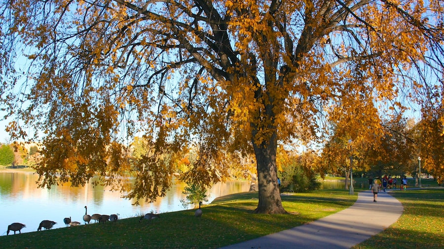 Denver