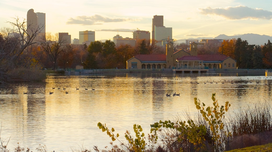 Denver mostrando vista panorámica, un edificio alto y un lago o espejo de agua