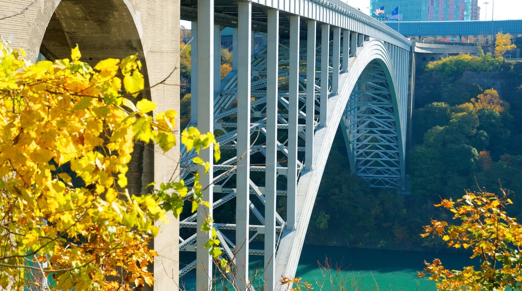 Niagara Falls que inclui arquitetura moderna e uma ponte