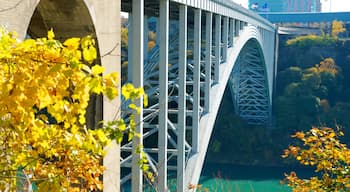 Niagara Falls showing modern architecture and a bridge