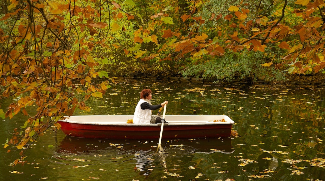 Berlim mostrando um lago ou charco, caiaque ou canoagem e cores do outono