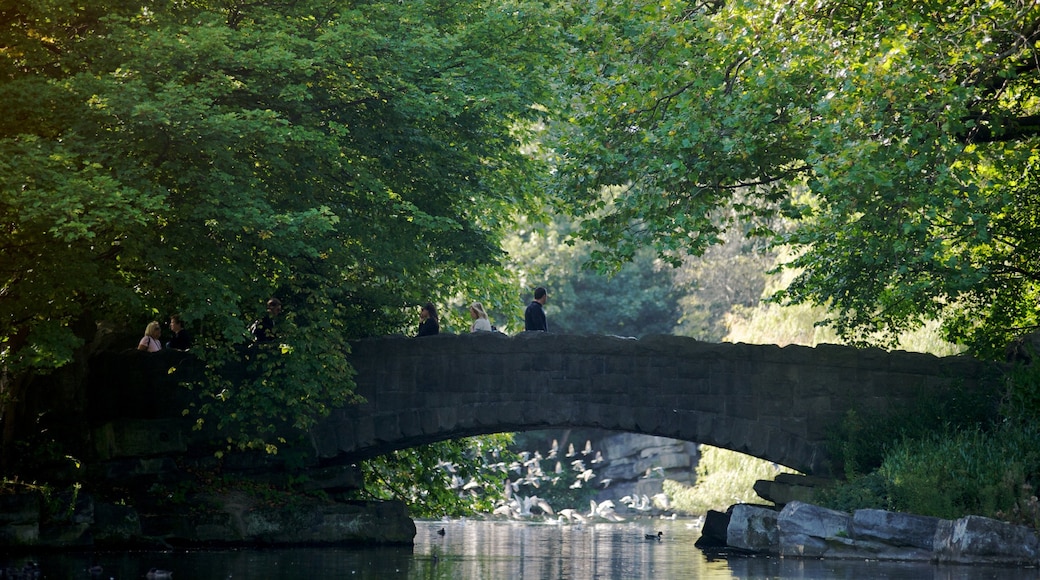 St. Stephen\'s Green showing a garden, landscape views and a bridge