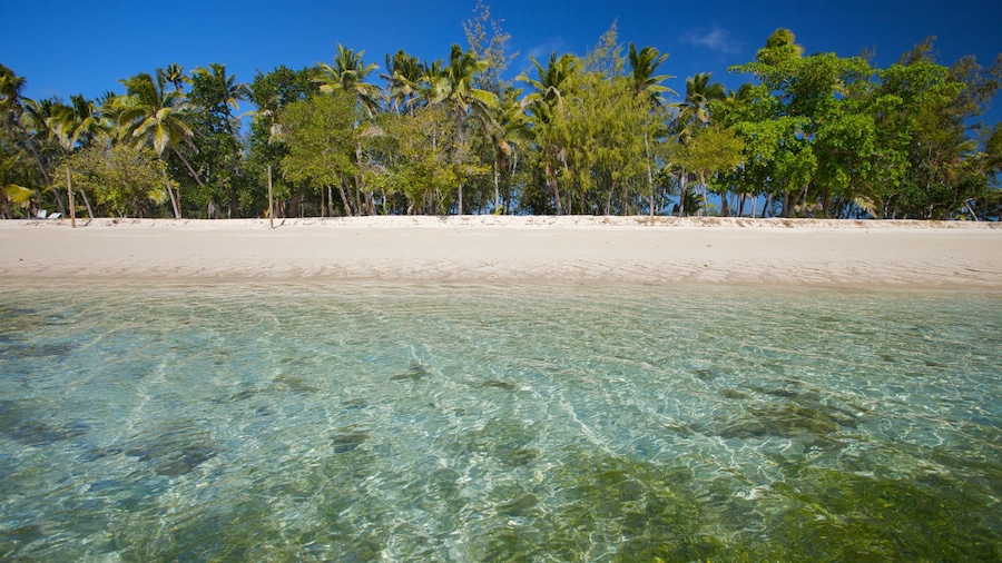Isole Yasawa che include spiaggia, paesaggio tropicale e immagini di isole