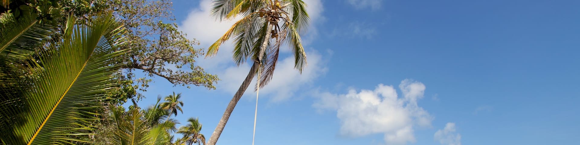 Yasawa Islands which includes a sandy beach and tropical scenes