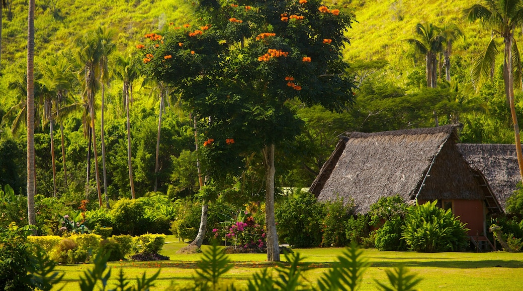 Costa de Coral ofreciendo escenas tropicales, una ciudad costera y un jardín