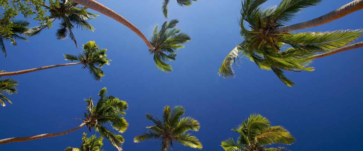 Coral Coast qui includes scènes tropicales