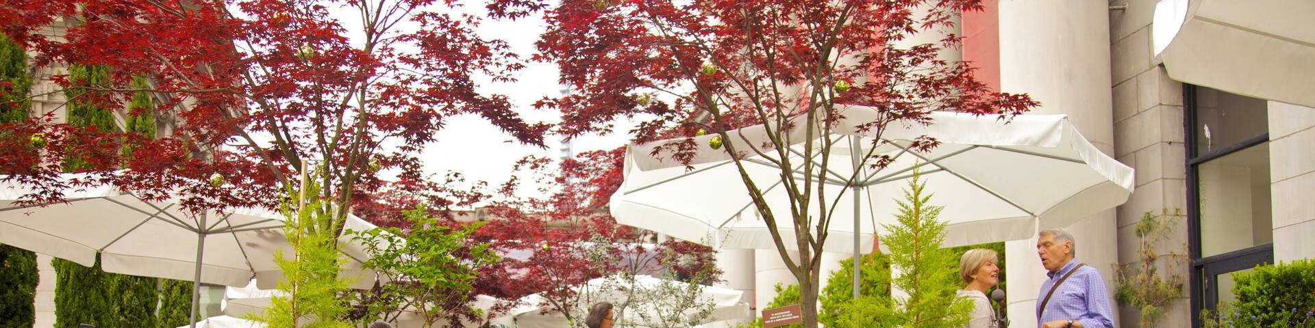 Robson Street showing a city, outdoor eating and street scenes