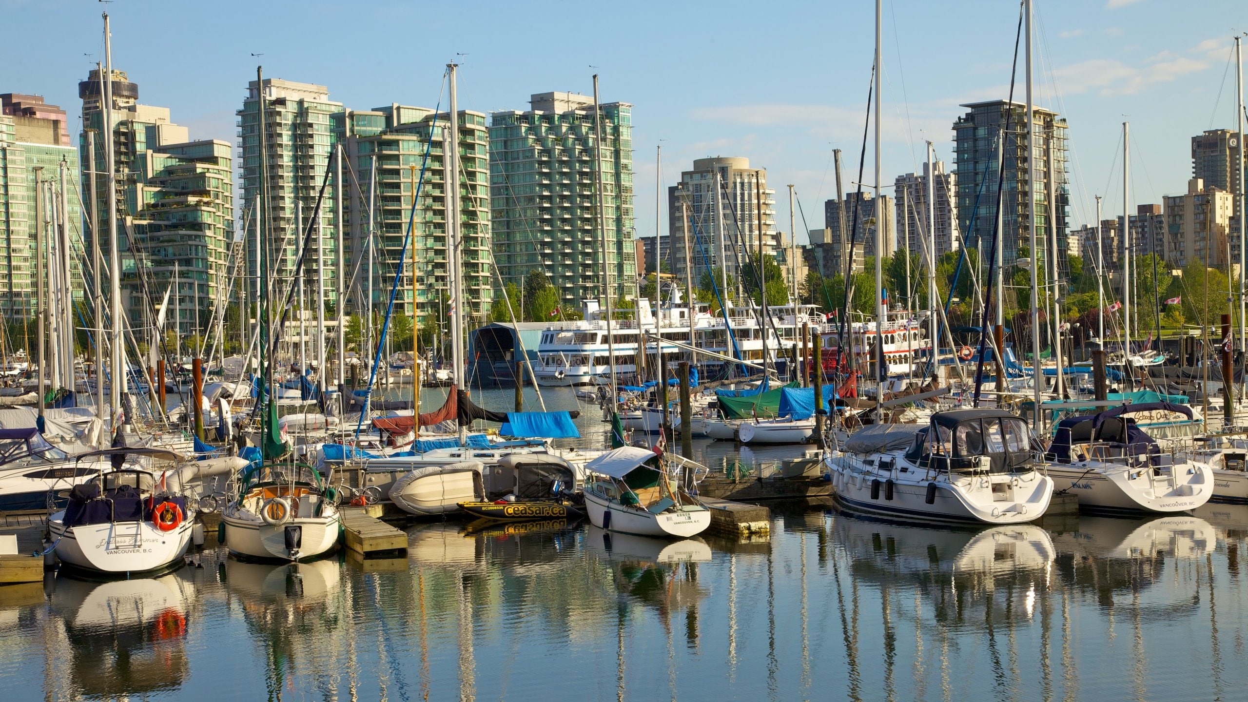 Stanley Park featuring yleiset rantanäkymät, lahti tai satama ja kaupunki