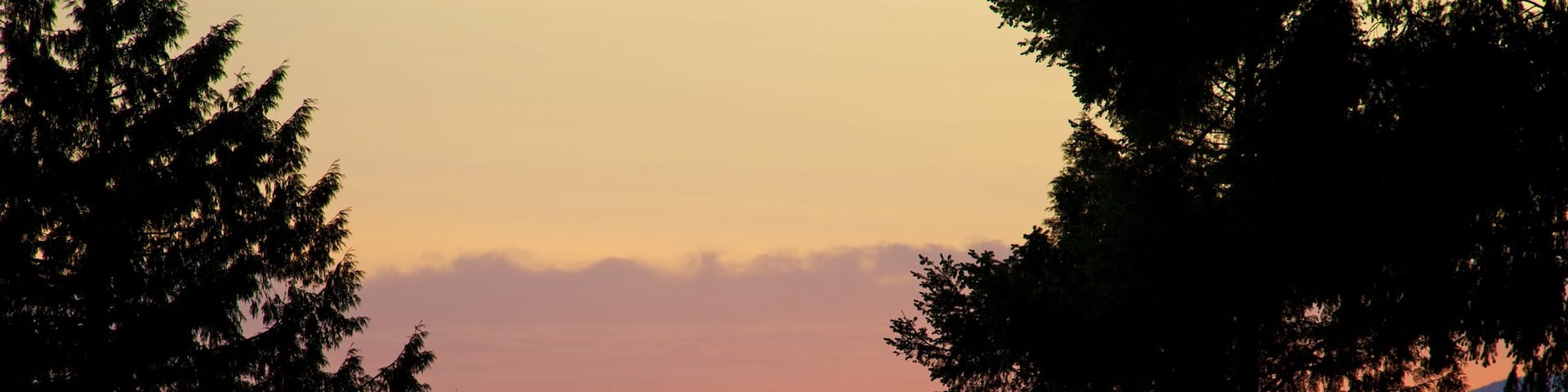 Stanley Park mettant en vedette jardin, coucher de soleil et vues littorales