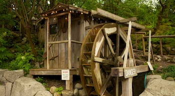 Hangbrug Capilano bevat landschappen en historische architectuur