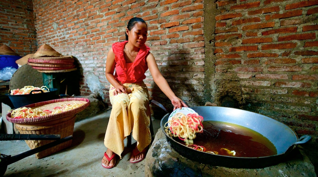 Magelang mostrando comida e vistas internas assim como uma mulher sozinha