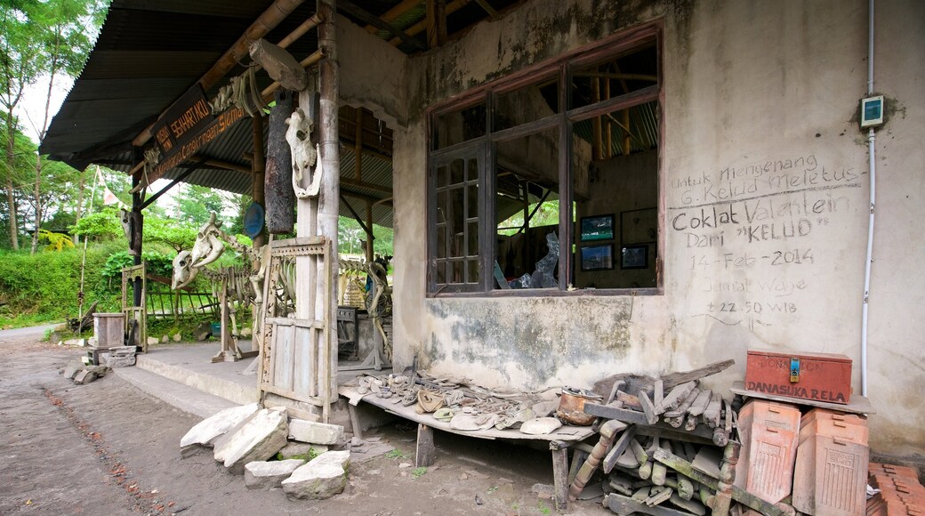 Parc national de Gunung Merbabu montrant patrimoine historique