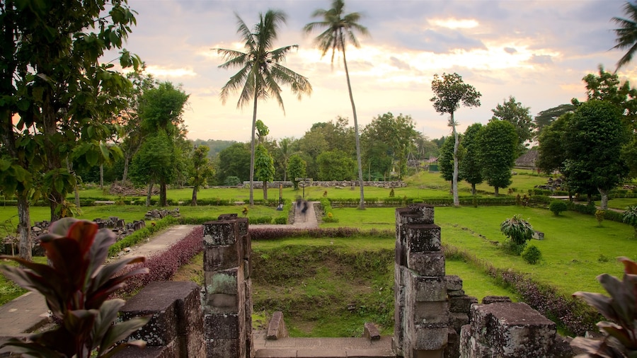 Ratu Boko Palace showing a garden, a sunset and a ruin