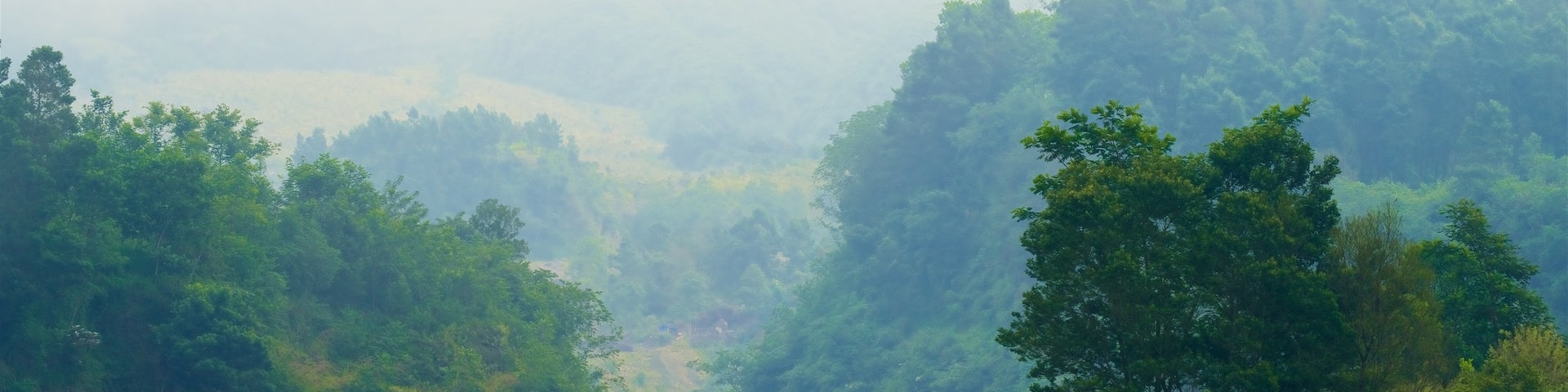 Parc national de Gunung Merbabu