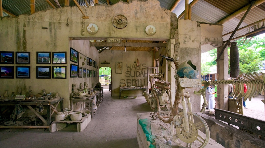 Parc national de Gunung Merbabu montrant vues intérieures et patrimoine historique