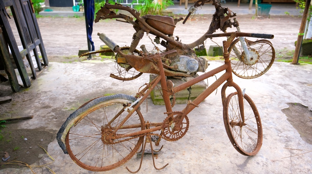 Gunung Merbabu National Park showing outdoor art