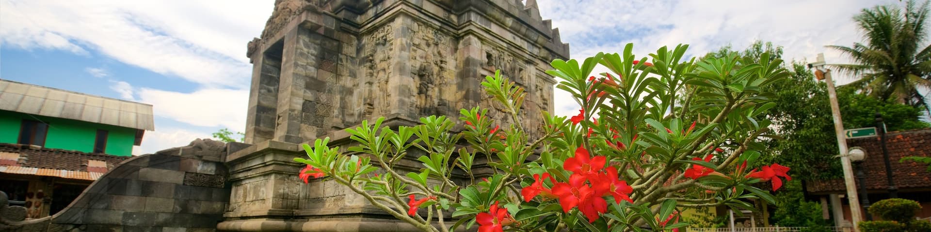Java mettant en vedette fleurs sauvages et patrimoine architectural